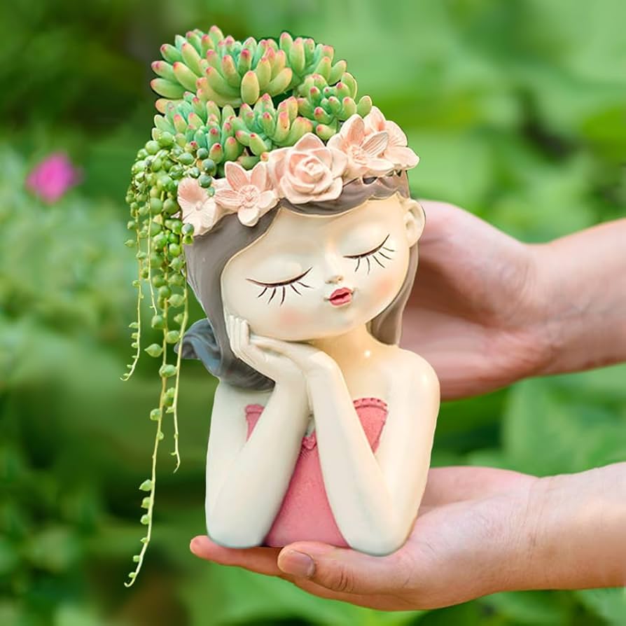 stokrotki i nagietki są bezpieczne dla kotów bezpieczne stokrotki dla kota