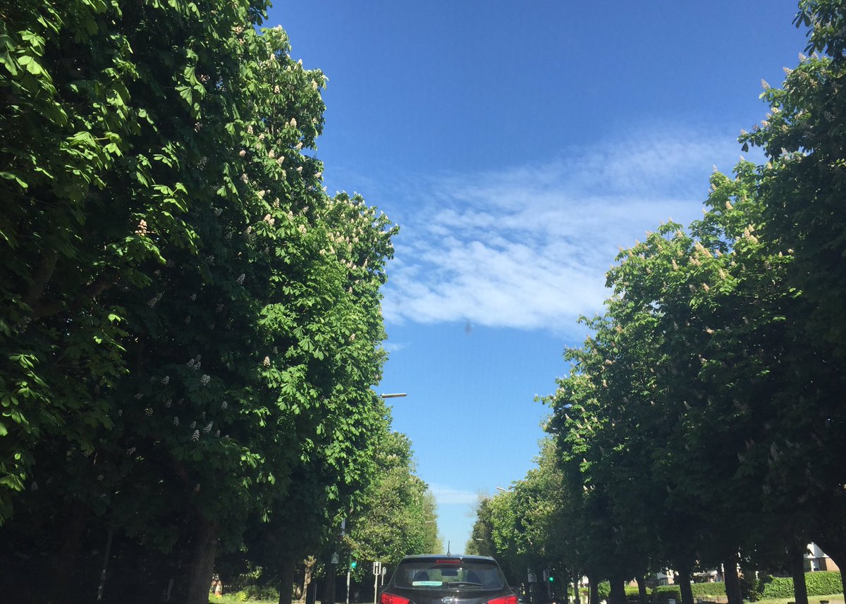 Aerial widok botanicznych alei osiedla Widok z lotu ptaka na sieć alei z drzewami i stawem w całym osiedlu