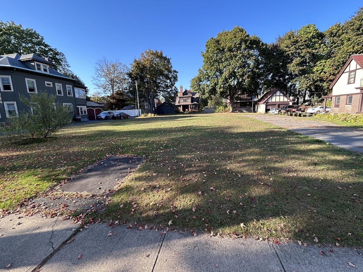 Magnolie w alei osiedlowej Różowe magnolie kwitnące wzdłuż alei obok ścieżek spacerowych i ławek w osiedlu