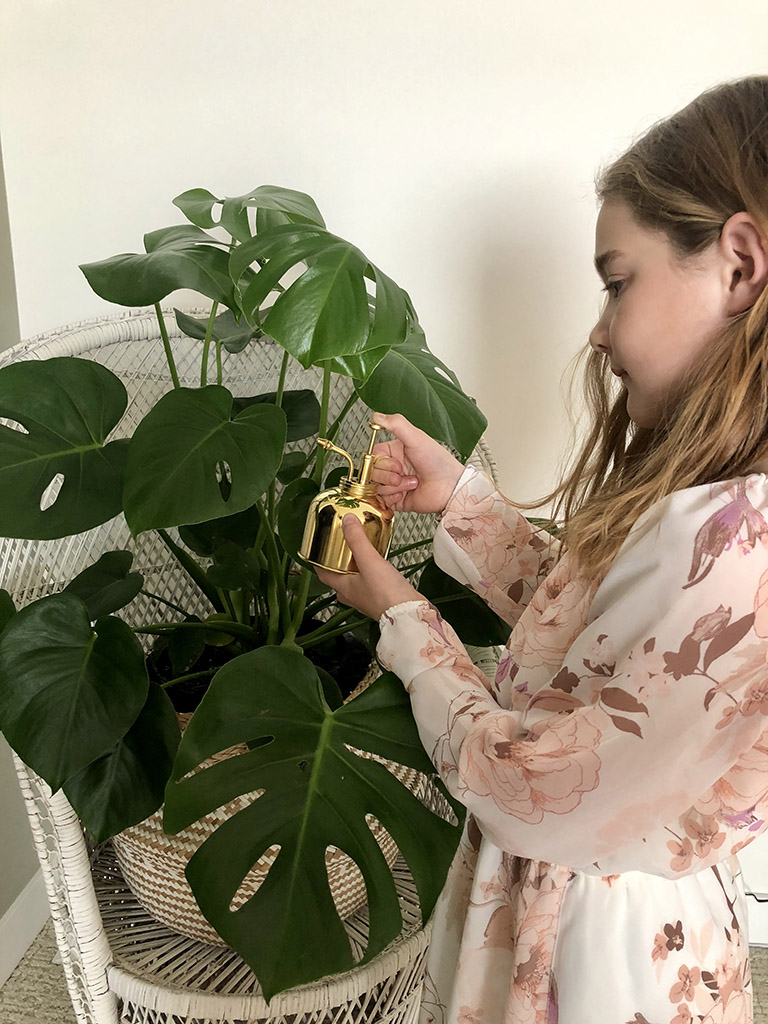 Zraszacz ogrodowy w akcji na kwiatach Automatyczny zraszacz tworzy mgiełkę wodną nad rabatą kwiatową w ogrodzie